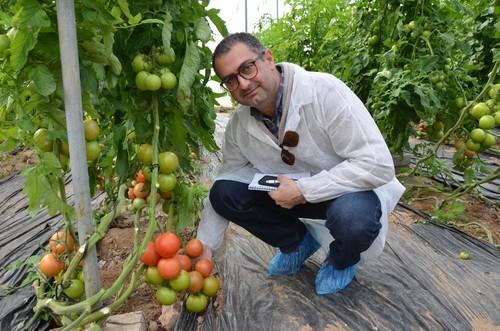 Vishta Yeganeh, de ISI Sementi