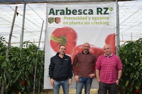 Los técnicos agrícolas también se han pasado por la finca de La Mojonera para ver el cultivo