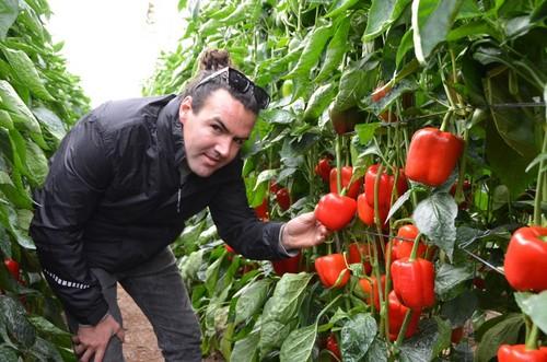 Este agricultor se ha mostrado más que satisfecho con la calidad del fruto