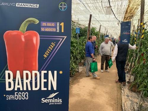 Jornadas de Barden, novedad en lamuyo de Seminis, en Adra