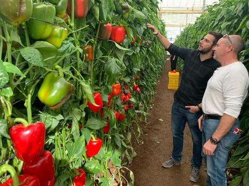 Agricultores conociendo de primera mano la variedad Ercina F1.