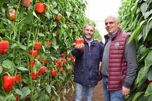Jorge Bervel, técnico comercial de Ramiro Arnedo, con un agricultor.