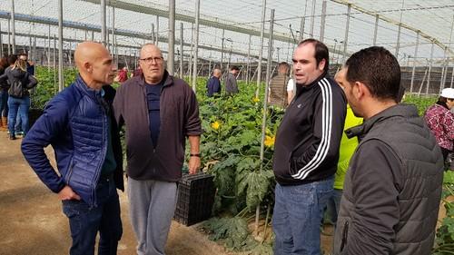 Se explicó que la nueva variedad tiene buen comportamiento frente a oídio.