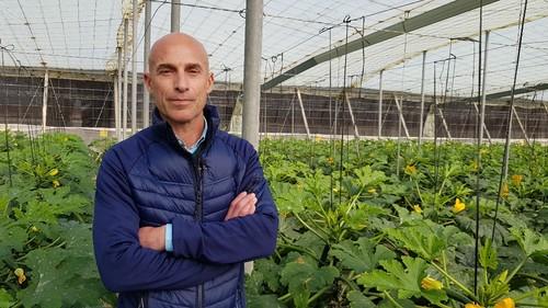 José Marín ha sido uno de los técnicos de Syngenta que ha acompañado a los asistentes.