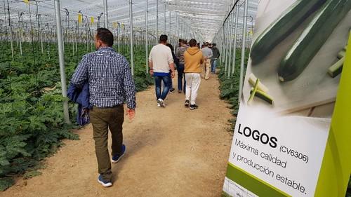 La última de las fincas estaba dedicada a Logos.