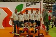 El equipo de Diamond Seeds.