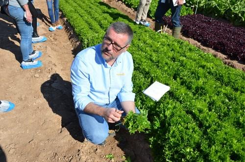 Juan Pedro Pérez, Crop Sales Manager Salads EMEA de Nunhems