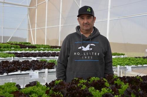 José Luis Sáiz, Crop Coordinator Internacional de Lechuga de Rijk Zwaan