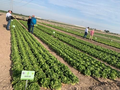 Visitantes internacionales en las #SaladsEvolution de Syngenta.