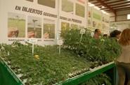 Almeriplant y Agrobío, siempre de la mano.