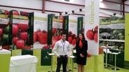 Zeraim Ibérica ha aprovechado la feria para presentar su variedad de tomate Guanche.