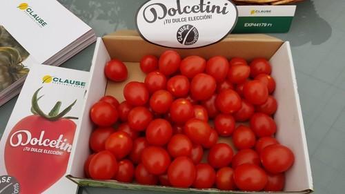 Dolcetini tiene frutos de forma oval.