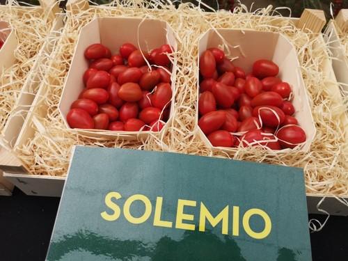 La planta de Solemio genera una gran homogeneidad de fruto.
