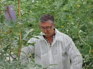 ALBERTO DOMINGO OBSERVANDO LAS PLANTAS