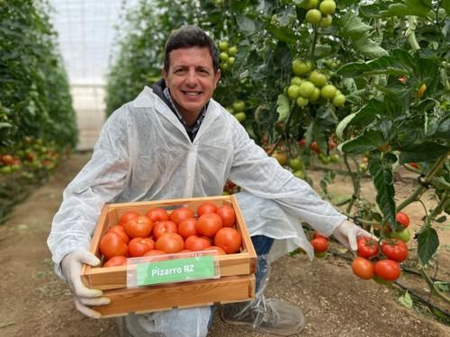 Manuel Hernández, especialista de cultivo de tomate de Rijk Zwaan