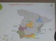 MAPA DE LA SUPERFIECIE DE MELON EN ESPAÑA