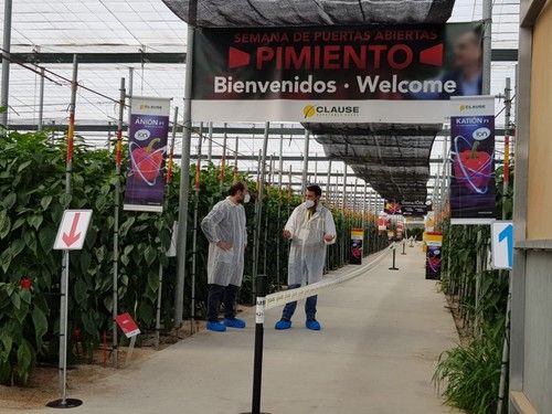Se establecieron distintos pasillos para garantizar la seguridad de los asistentes.