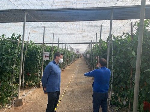 Las jornadas se desarrollaron cumpliendo con todas las medidas de seguridad y prevención frente al COVID-19