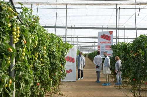 La promoción ha tenido lugar en dos fincas de Níjar.