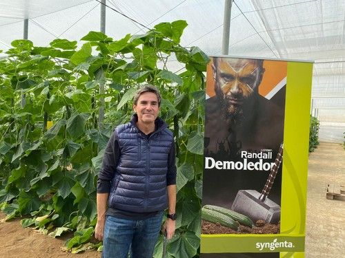 Jesús Abad, cucumber breeder de Syngenta.
