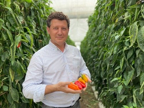 José Luis Ruipérez, especialista de pimiento de Rijk Zwaan