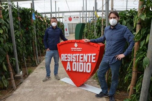 Ramón Egea, responsable de Marketing, y Alejandro Pascual, responsable de cultivo de pimiento de Zeaim.