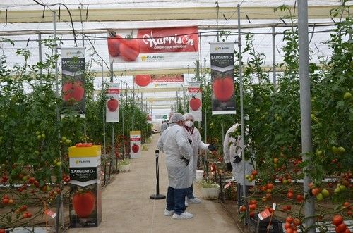 La finca vitrina de HM.CLAUSE ha estado abierta desde el 22 al 26 de febrero.