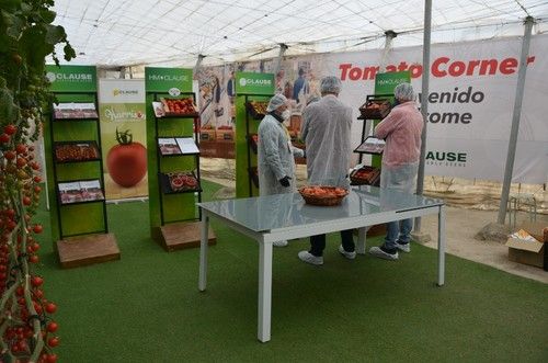 'Tomato Corner' instalado en la finca vitrina de HM.CLAUSE en El Alquián (Almería).