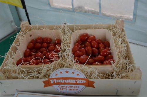Presentación de las variedades de la línea Flavourite en las jornadas celebradas en Almería.