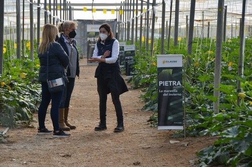 Las visitas a las jornadas, tanto en Níjar como en El Ejido, se hacen en grupos reducidos.