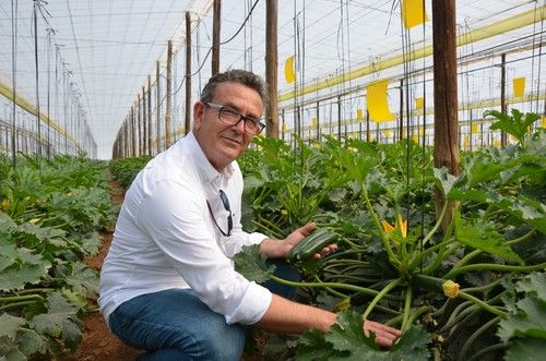 Aureliano Cerezuela, responsable de calabacín de Rijk Zwaan