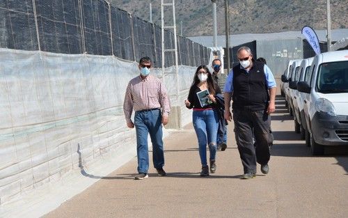 La asistencia se hace en grupos reducidos para garantizar distanciamiento social.