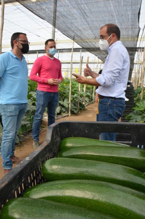 Antonio Gutiérrez, de Syngenta, explicando las características de Cardano a asistentes a las jorndadas.