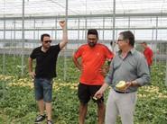 Unas jornadas donde se ha comentando las ventajas de la producción de melón
