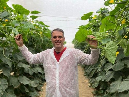 Javier López, especialista de pepino de Rijk Zwaan