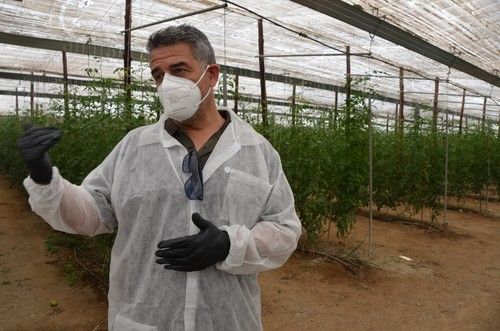 Juan Antonio Plaza es técnico de Desarrollo de HM.CLAUSE especializado en tomate Raf.