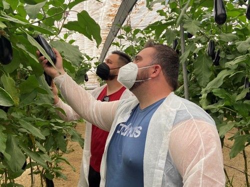 Estos agricultores comprueban la hoja limpia que sigue teniendo Kesia RZ en el mes de mayo