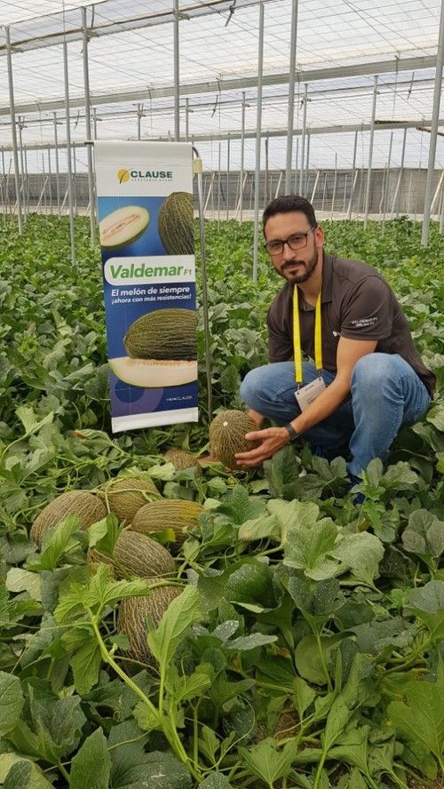 David González destacó la precocidad de esta innovación en piel de sapo.