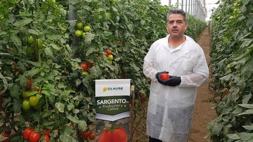Juan Antonio Plaza, técnico de Desarrollo y Promoción de HM.CLAUSE.