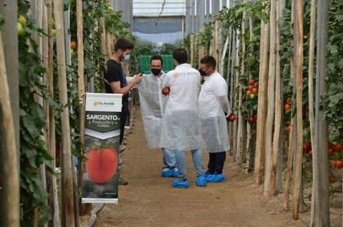 Las jornadas se celebraron siguiendo las medidas sanitarias vigentes.