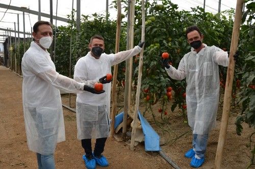 Manuel Fernández (dcha), atendiendo a productores interesados por este tomate tipo pera.