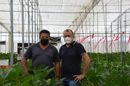 Carlos Ferrer y Paco Pino, en el CED