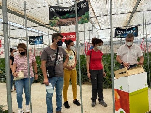 Alberto Domingo, de Rijk Zwaan, explicando las características del fruto de Perseverance RZ