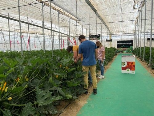 Alguno asistentes comprobando el cultivo in situ