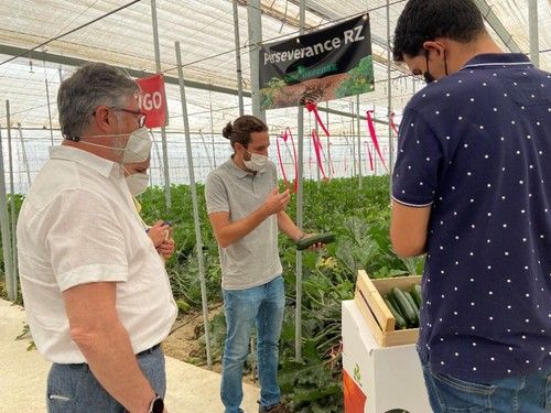 Pedro Navarro, breeder de calabacín, hablando sobre la variedad