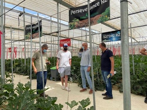 Paco Pino, delegado comercial de Rijk Zwaan, atendiendo a clientes