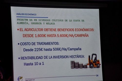 Análisis económico