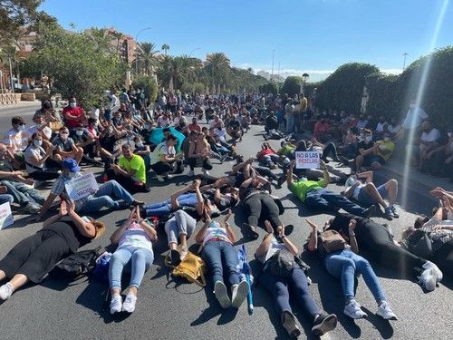 Agricultores han mostrado su disconformidad con las organizaciones agrarias.