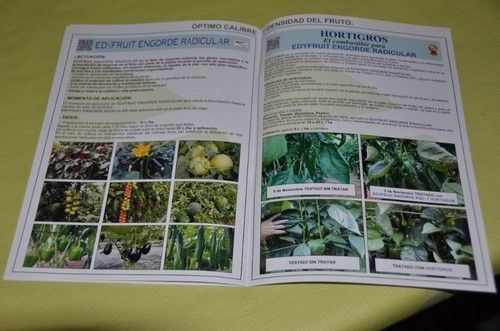 Más contenido con los productos Edypro