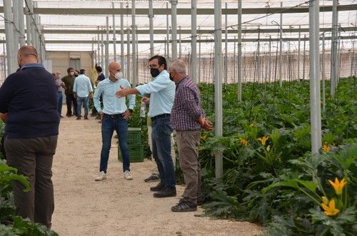 Asistentes a las jornadas de Syngenta.